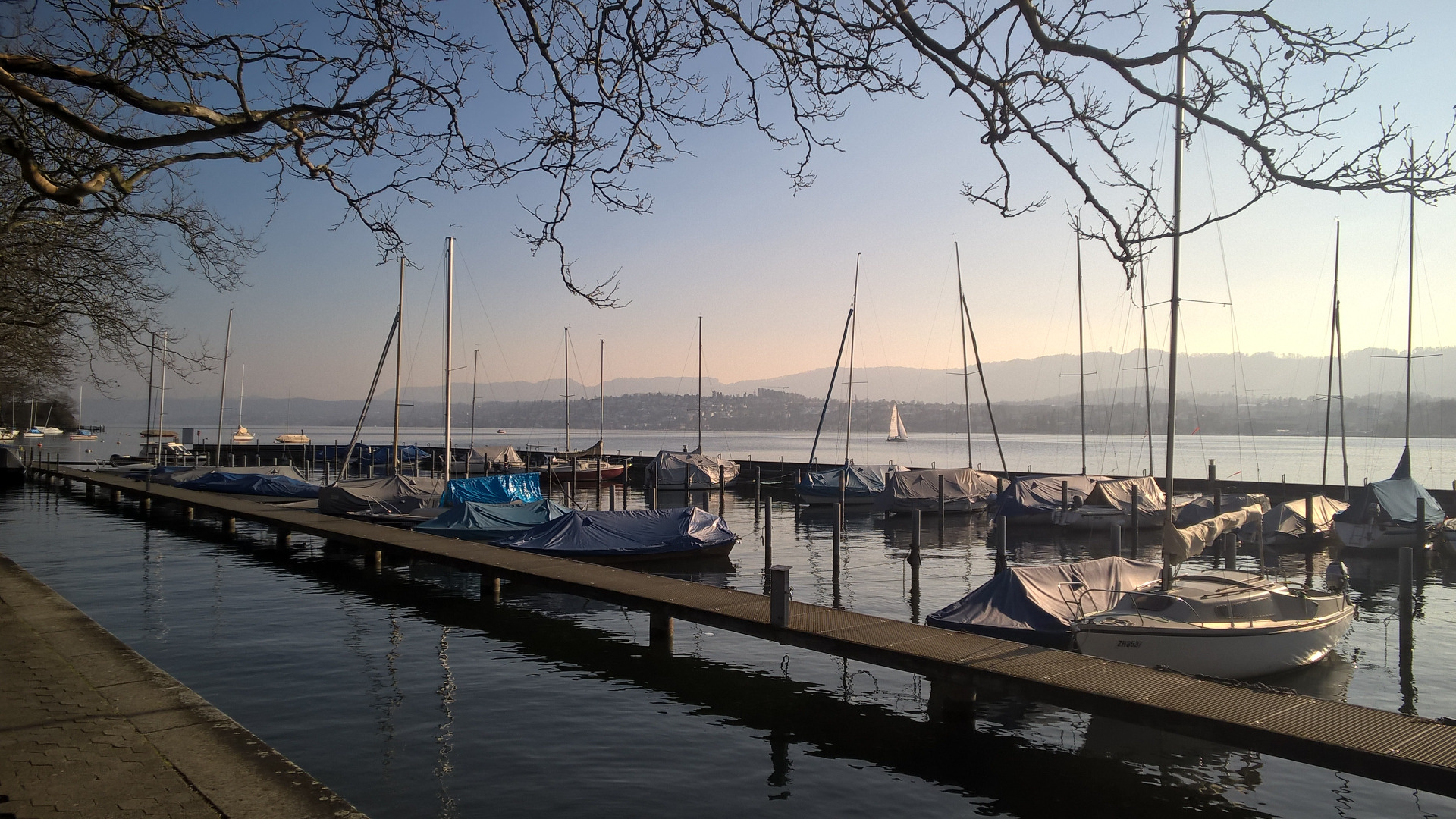 Pieni purjevenesatama Zürichinjärvellä